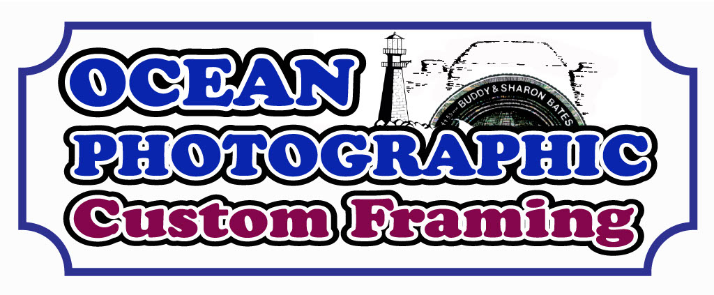 OCEAN PHOTOGRAPHIC NEW LOGO NOV 1 with camera CONVERTED